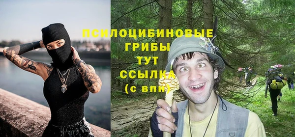 ешки Магас