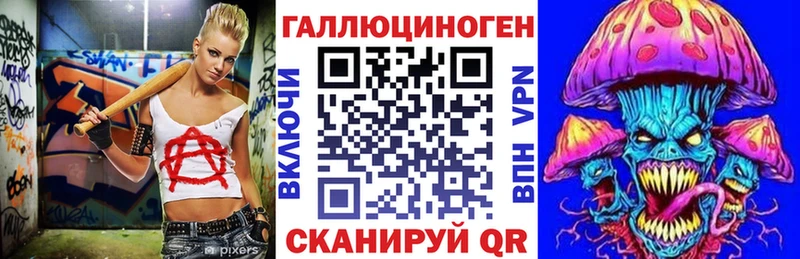 купить  цена  Андреаполь  Галлюциногенные грибы GOLDEN TEACHER 